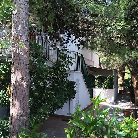 Villa Irene Vieste Exteriér fotografie
