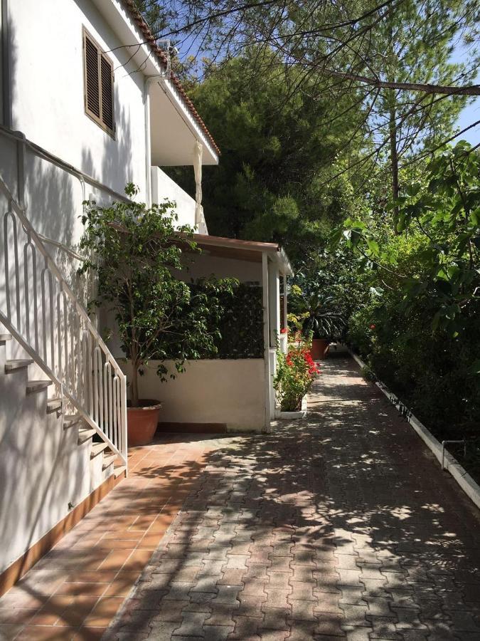 Villa Irene Vieste Exteriér fotografie