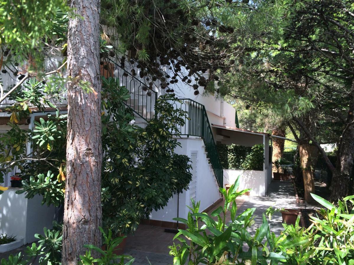 Villa Irene Vieste Exteriér fotografie