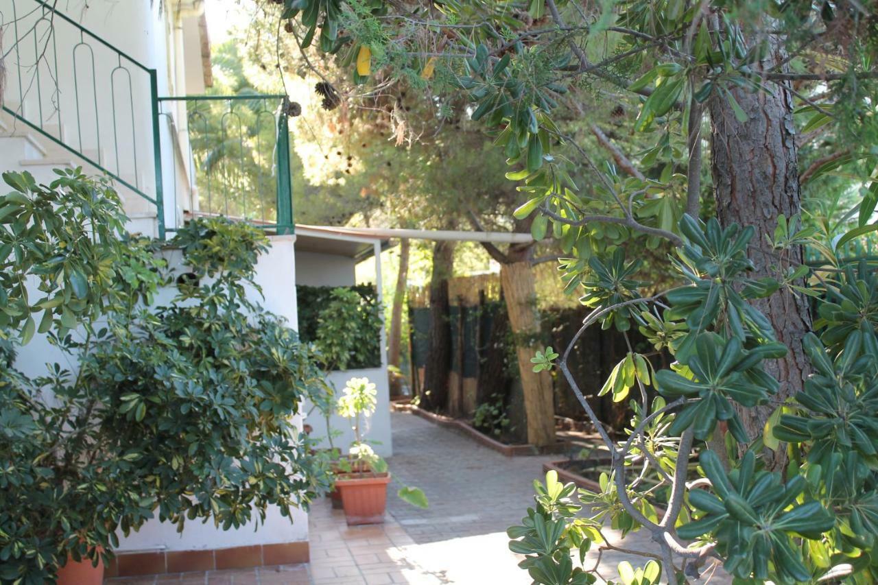Villa Irene Vieste Exteriér fotografie
