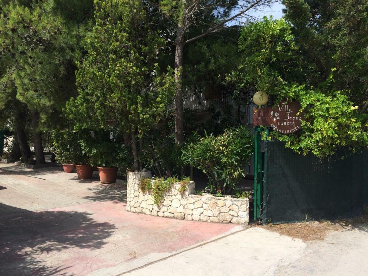 Villa Irene Vieste Exteriér fotografie